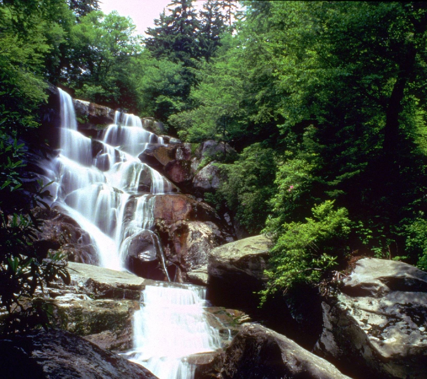 Ramsey Cascades, the tallest waterfall in Great Smoky Mountains National Park, dropping over a rock ledge