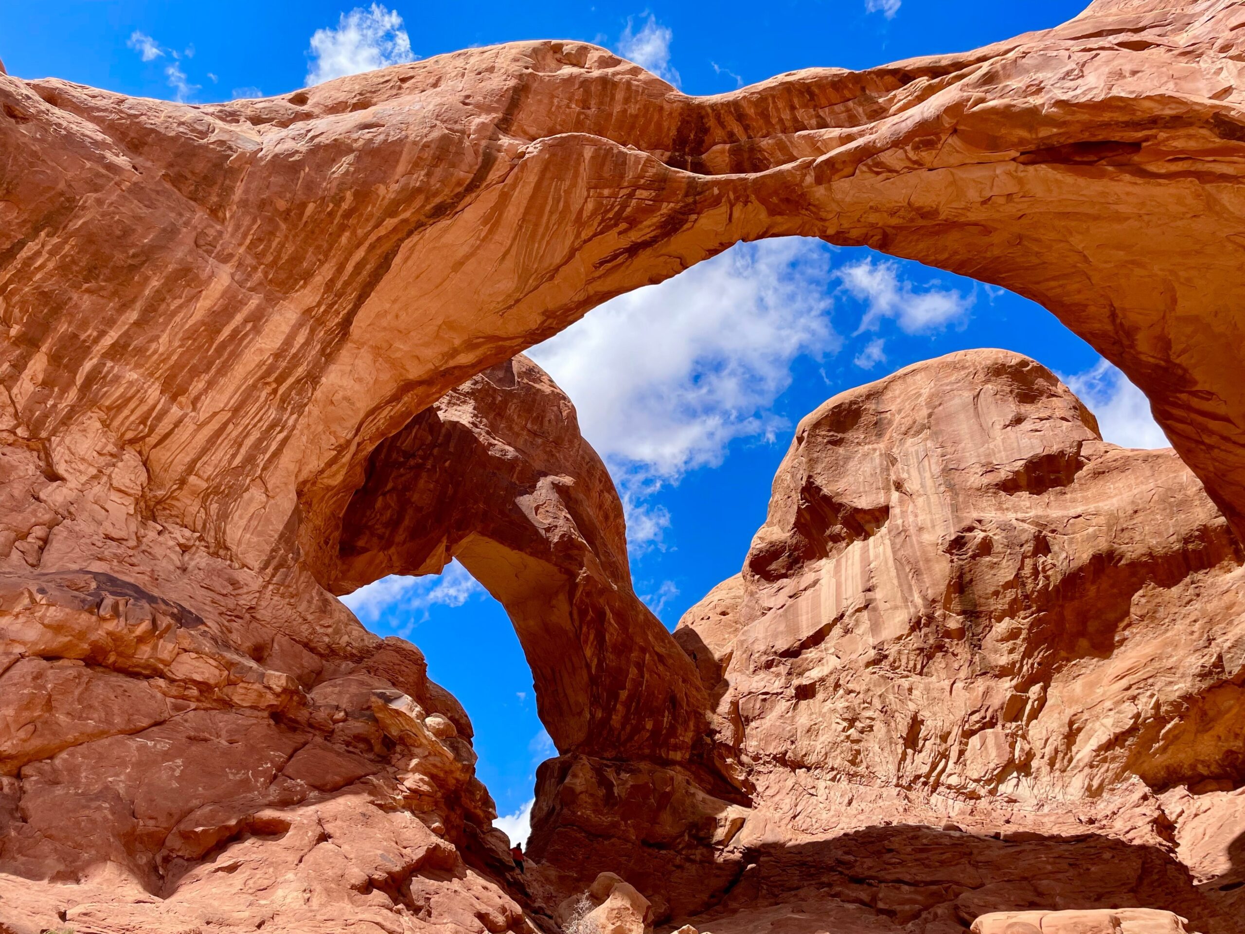Red sandstone arches and rock formations rising from the desert floor at Arches National Park