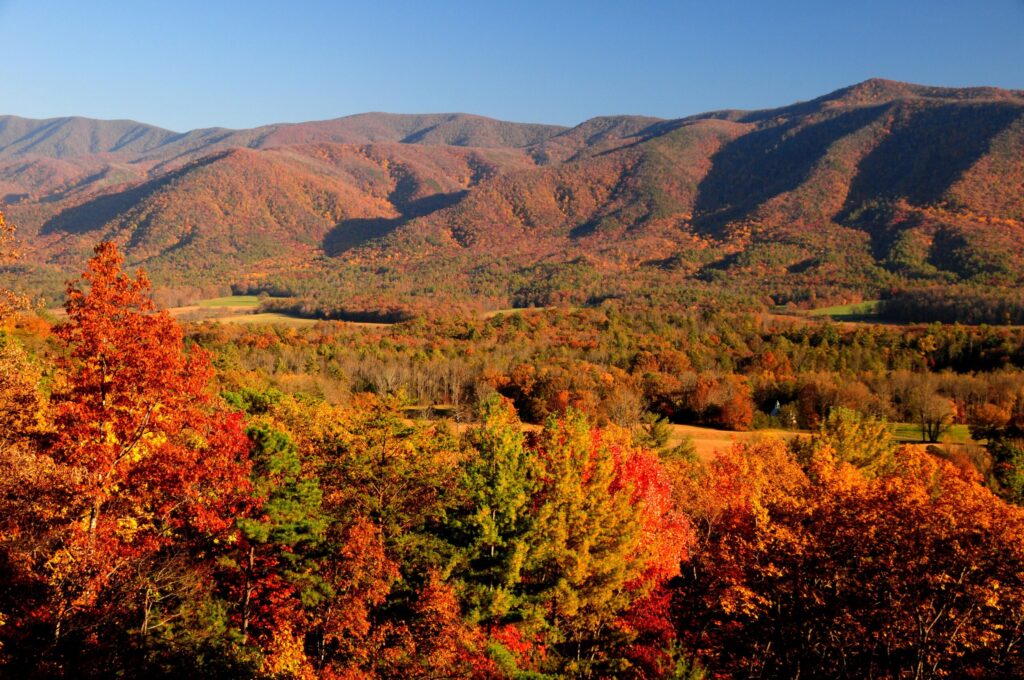 Fall foliage view of Cades Cove valley from the Rich Mountain Road overlook