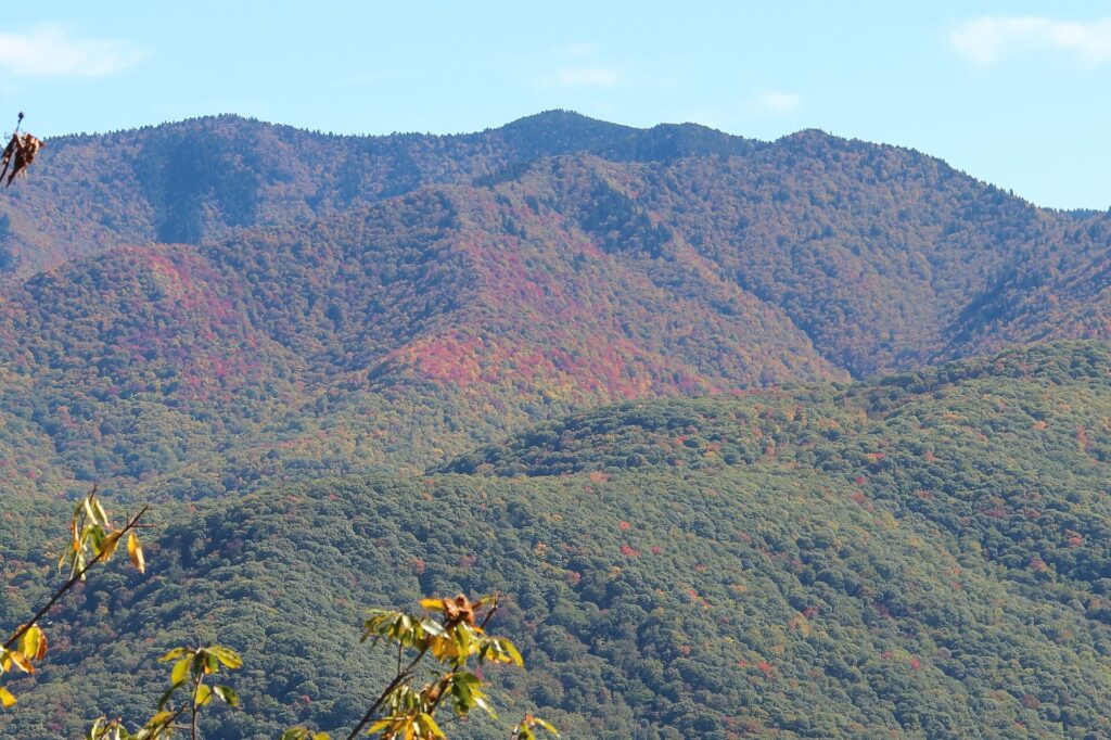 Richland Balsam ridge seen from Steestachee Bald Overlook on the Blue Ridge Parkway