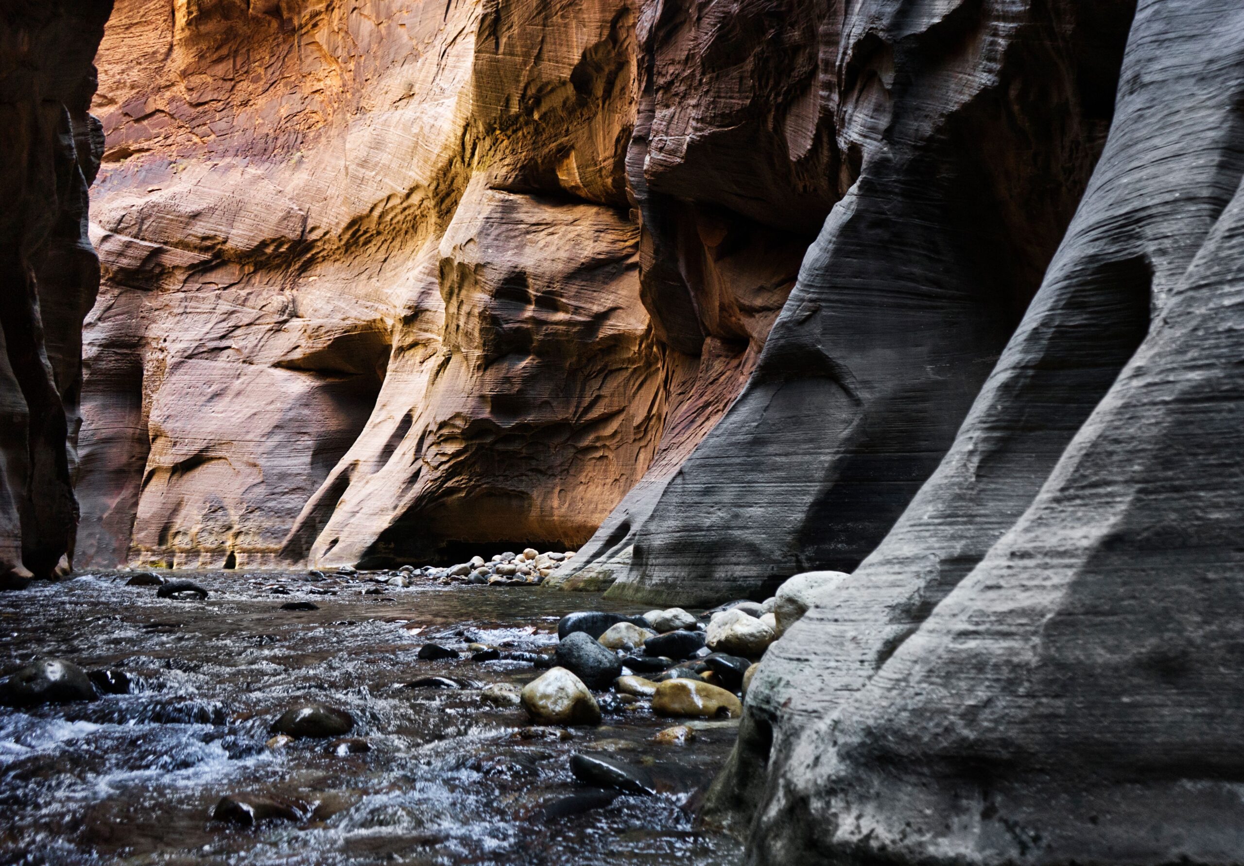 A river flows between towering sandstone canyon walls in the Narrows at Zion National Park