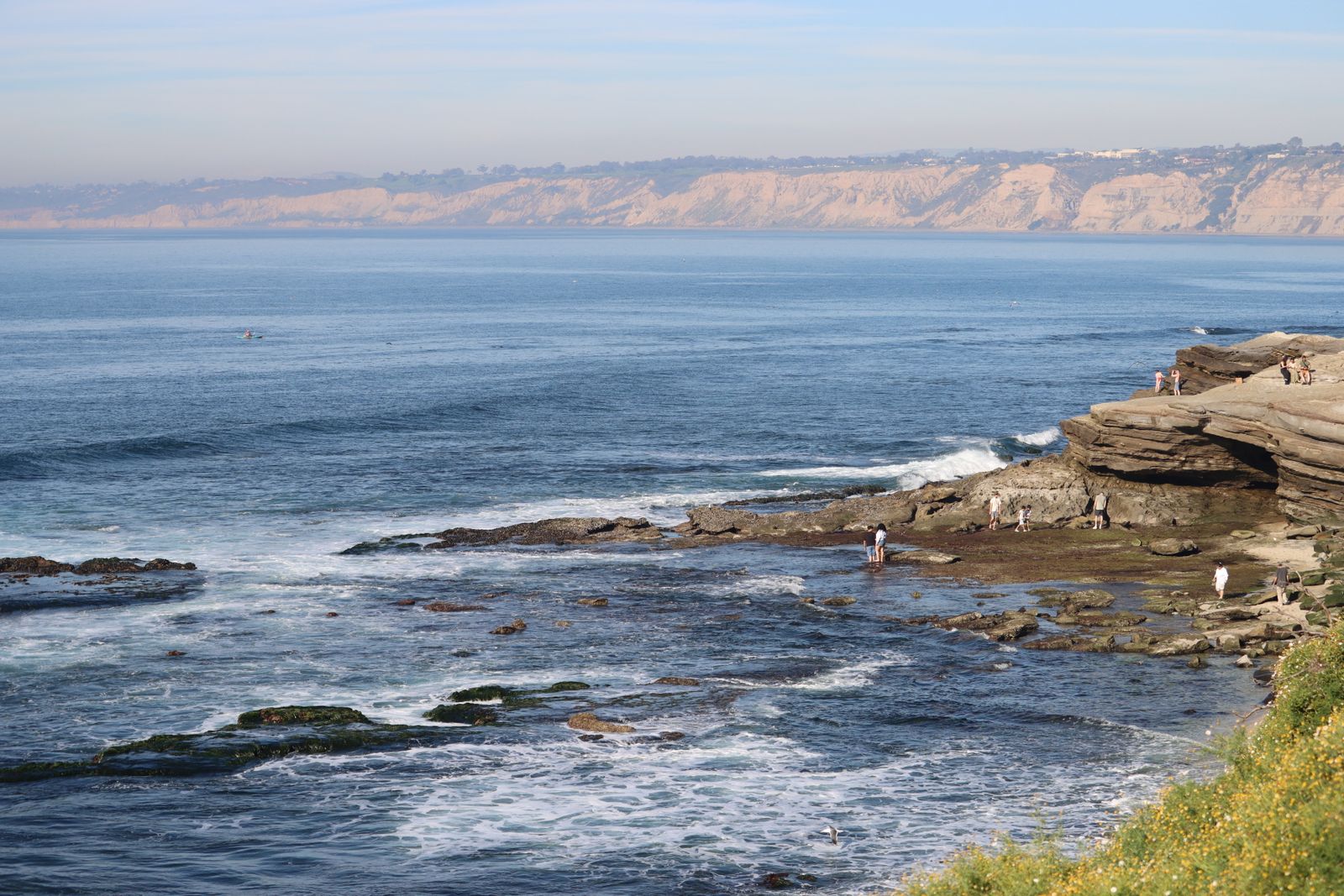Visitors explore the rocky shoreline and tide pools at La Jolla Cove