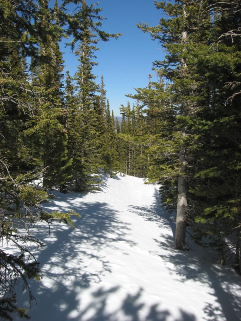 Snow-covered alpine trail near Flattop Mountain in Rocky Mountain National Park