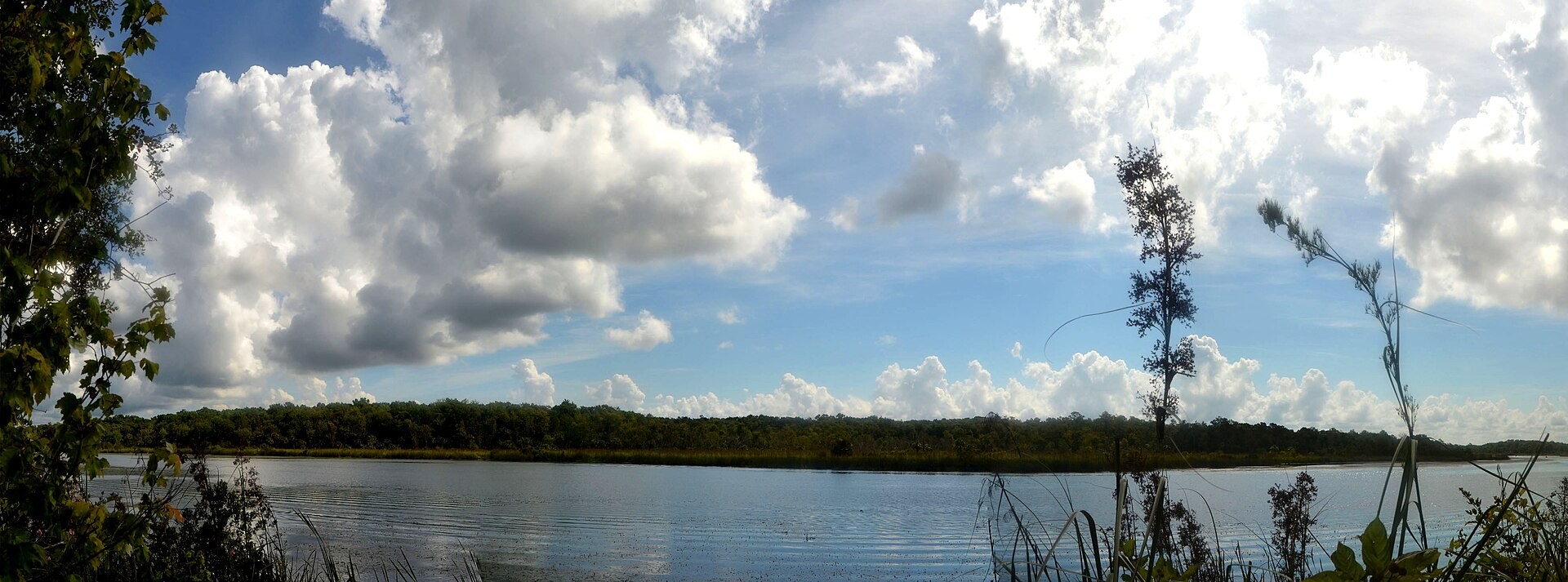 Wide view of open water and marsh from the Salt Springs Observation Trail in Ocala National Forest