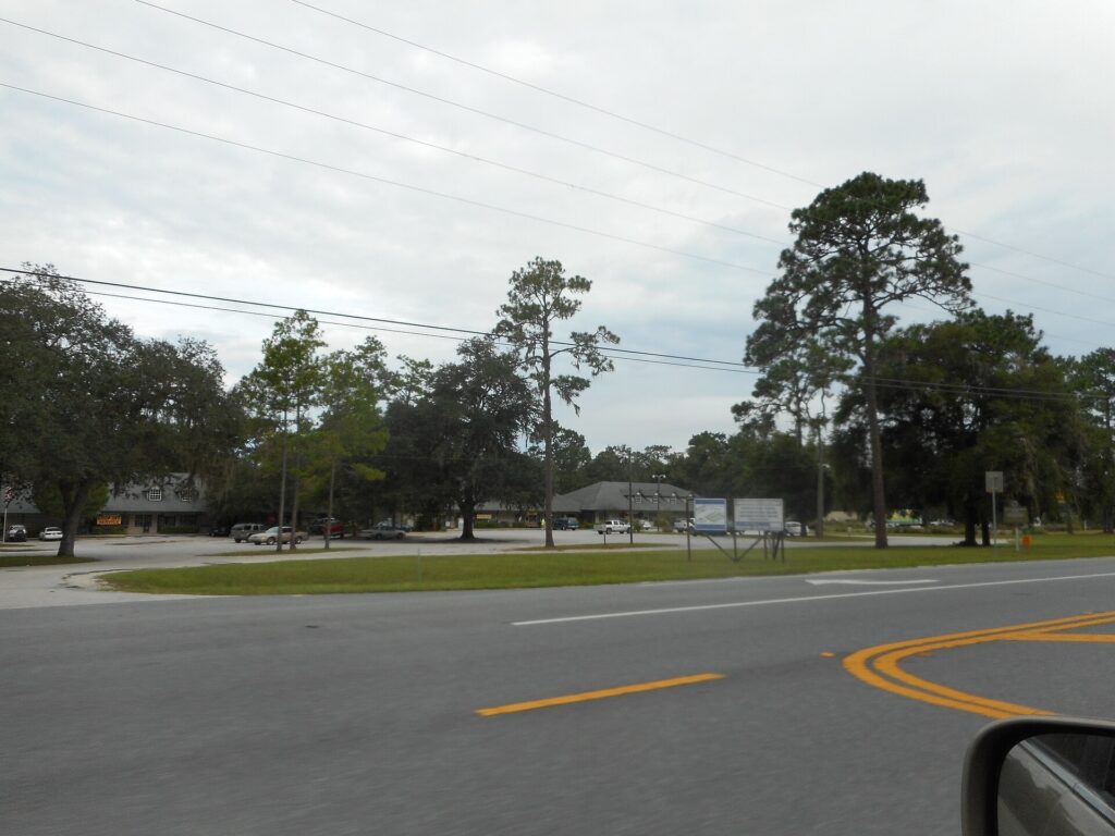 A small shopping plaza with a store and gas station along FL-19 near Salt Springs in Ocala National Forest