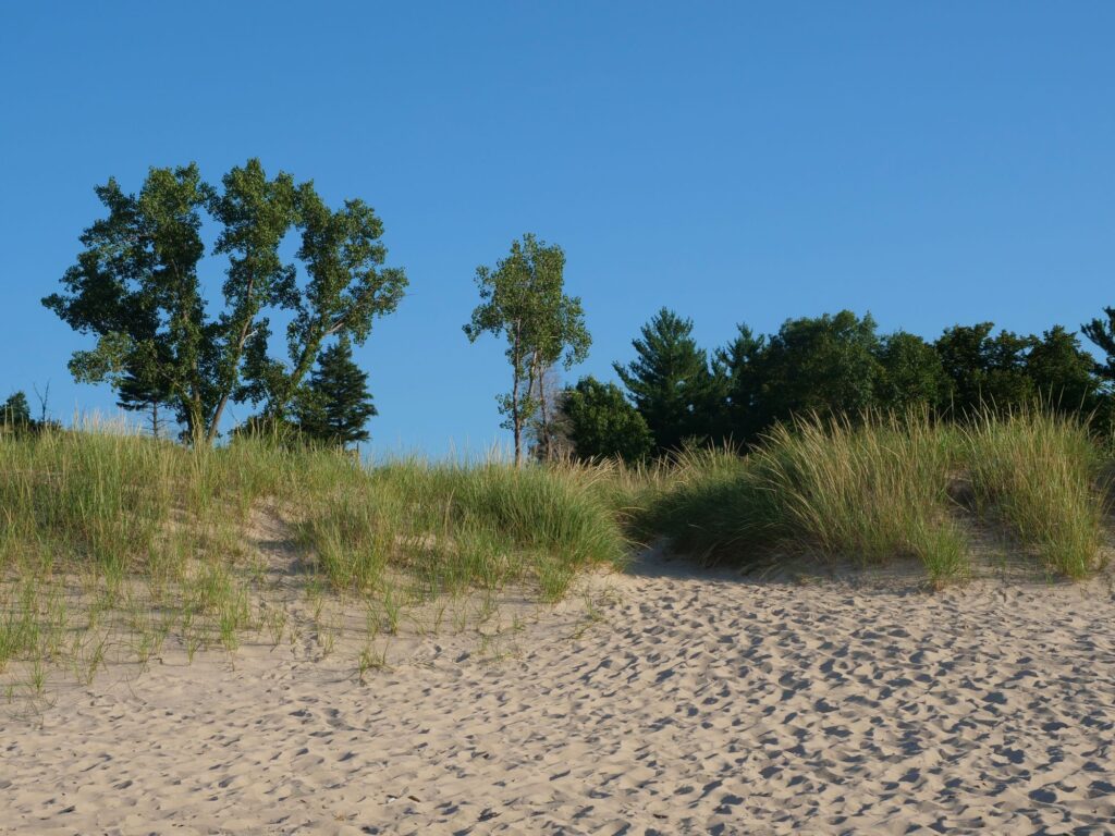 Sand dunes at Indiana Dunes National Park