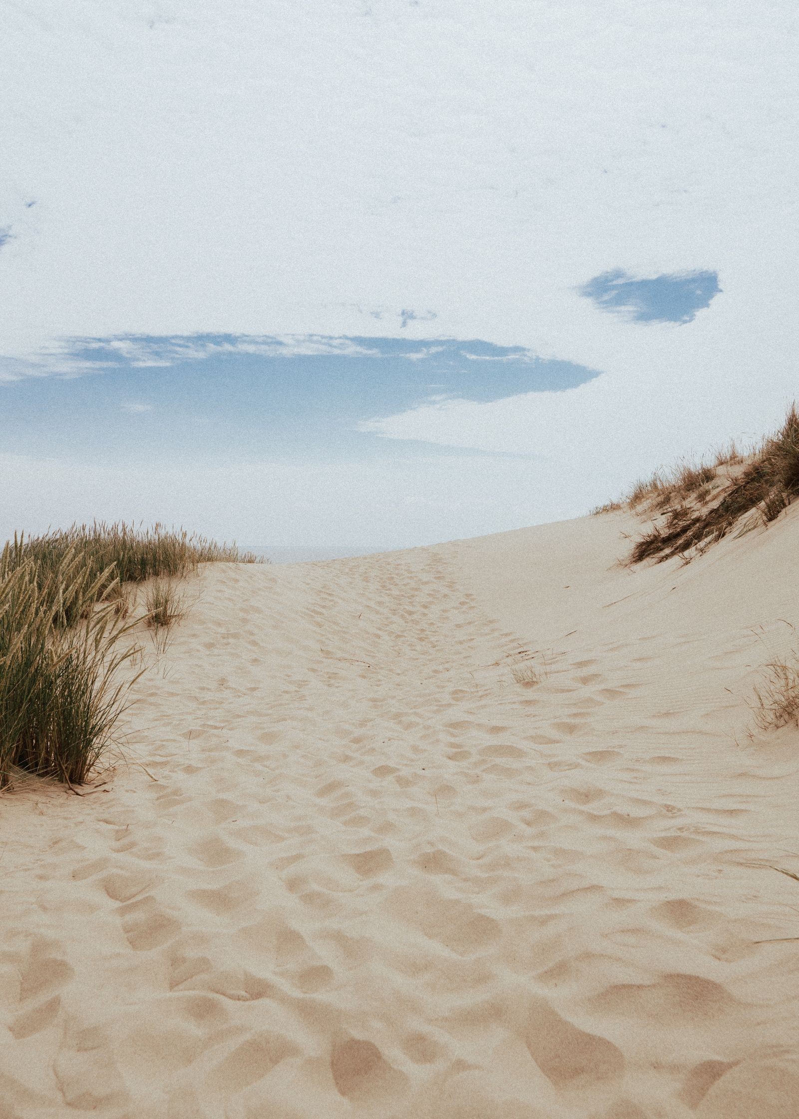 A sandy path through dune grass leading toward open water