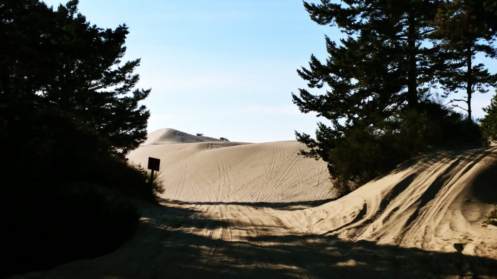 Sand trail through the pines into the Oregon Dunes