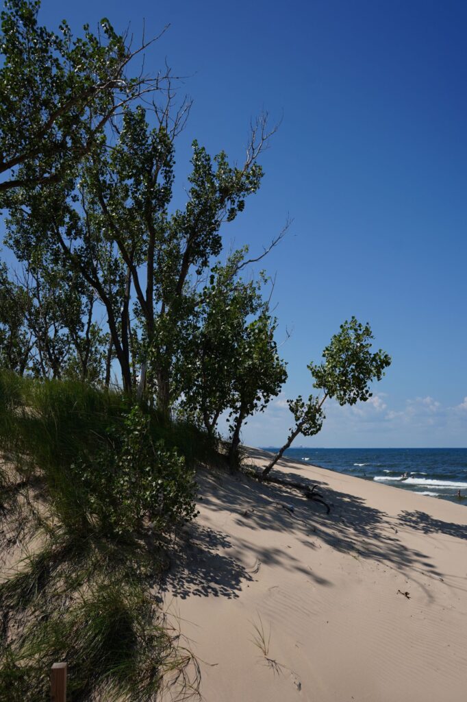 Indiana Dunes Day Trip: Is Indiana Dunes Worth Visiting?