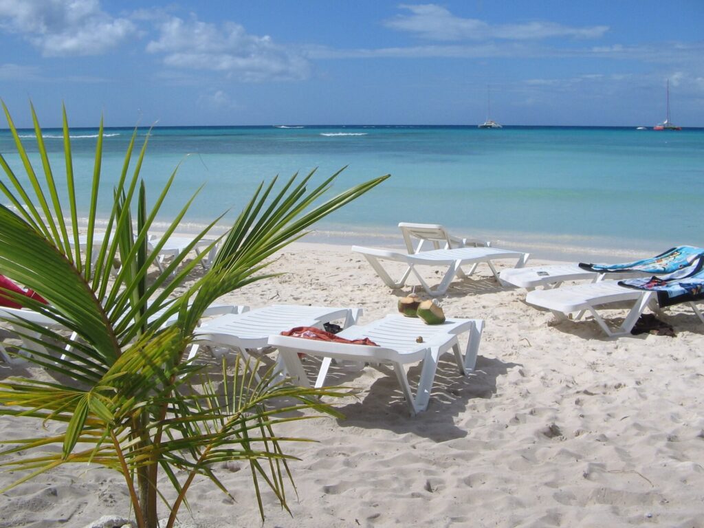 White sand beach and palm trees on Saona Island off the Dominican Republic coast