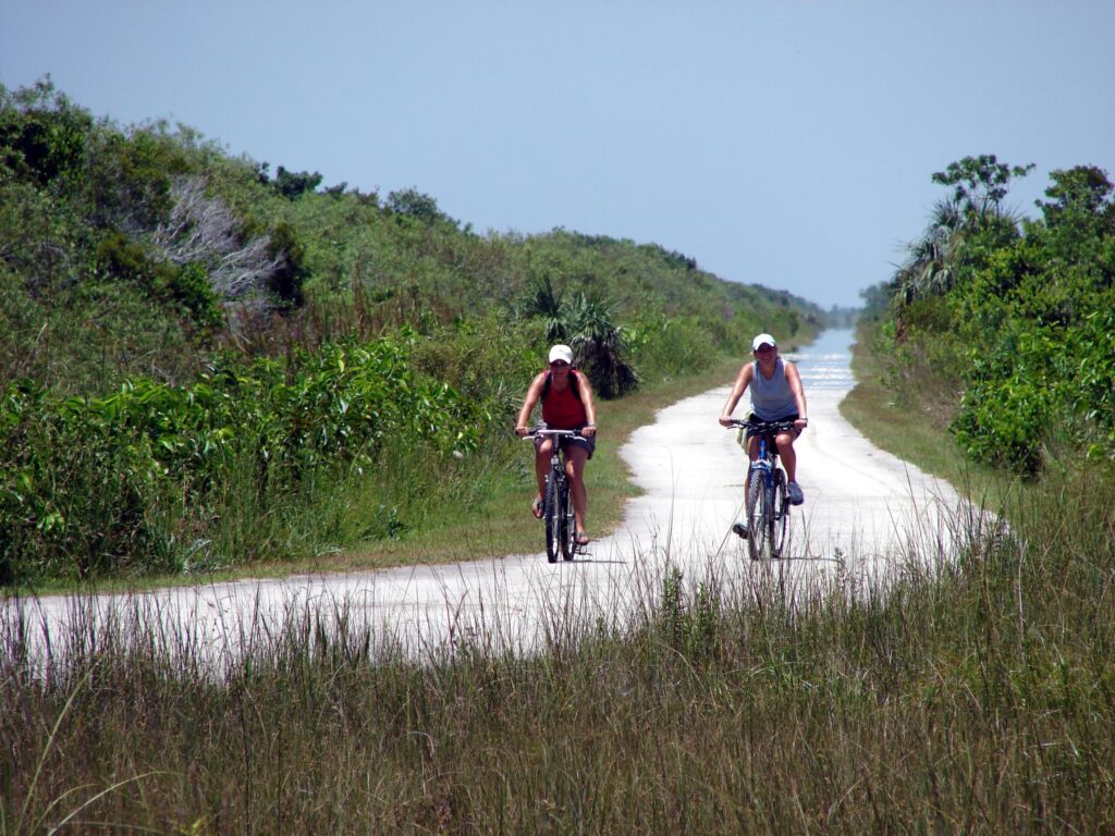 Cyclists on the Shark Valley tram road running straight through the sawgrass in Everglades National Park