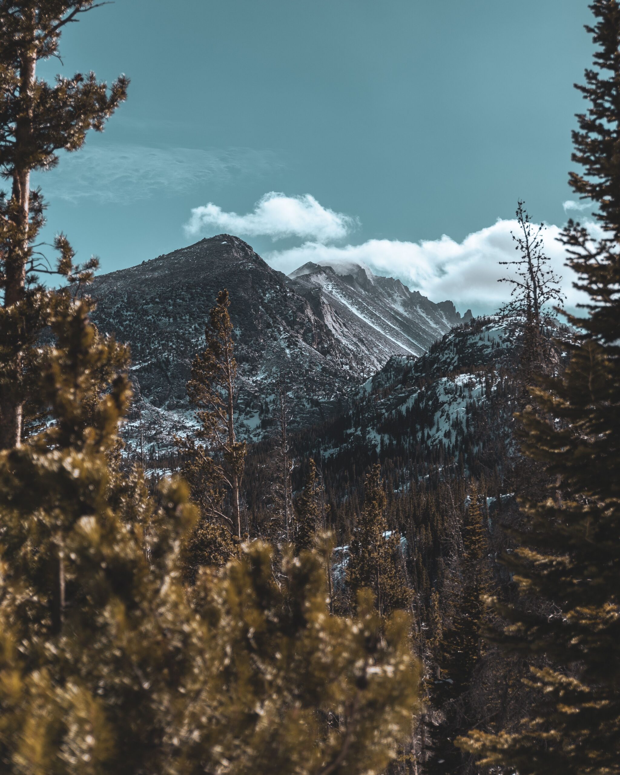 Snow-covered peaks and evergreen forest in Rocky Mountain National Park, Colorado