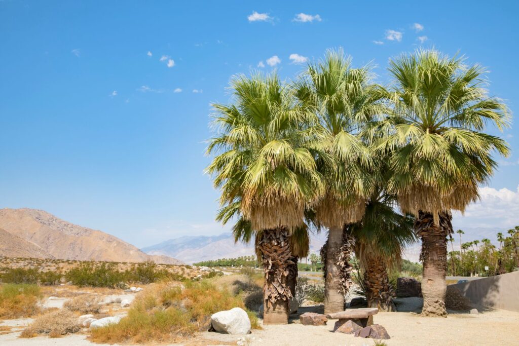 Palm Springs Weekend Itinerary: Best Time to Visit Palm Springs