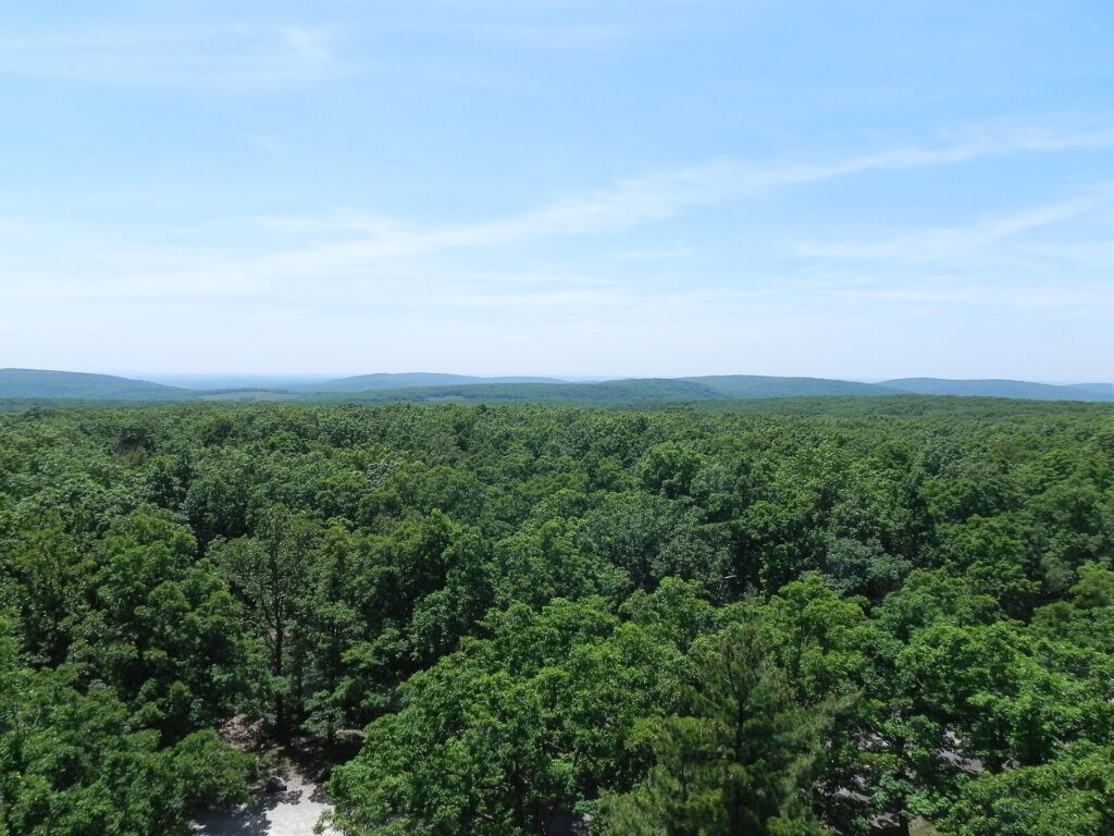 A green forest canopy stretching to the horizon, seen from the Taum Sauk Mountain lookout tower