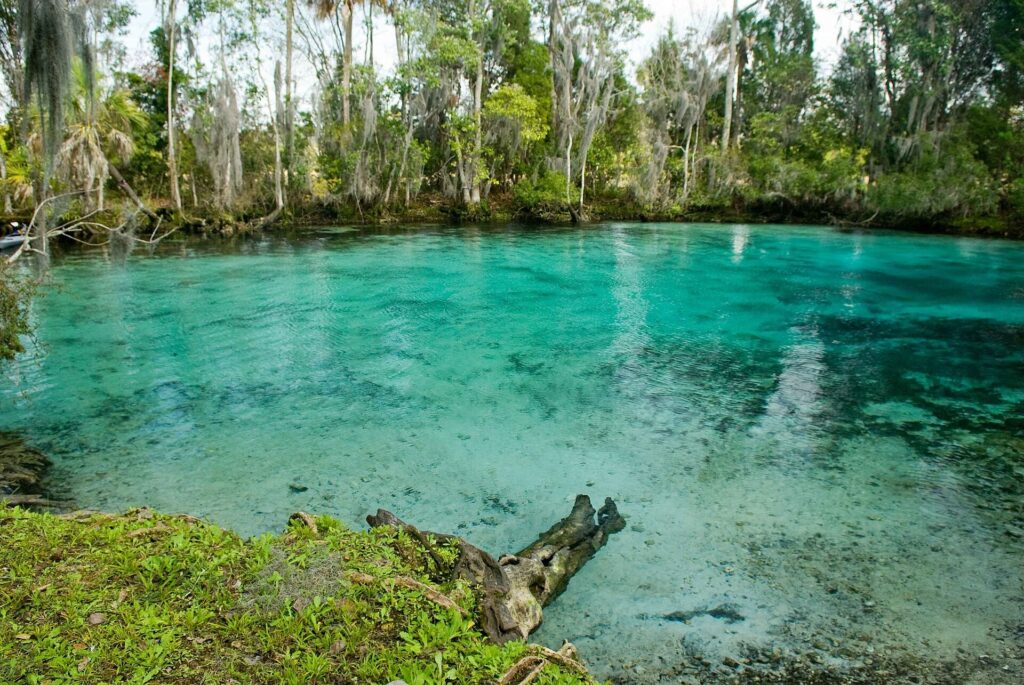 Three Sisters Springs, the clear spring habitat inside Crystal River National Wildlife Refuge