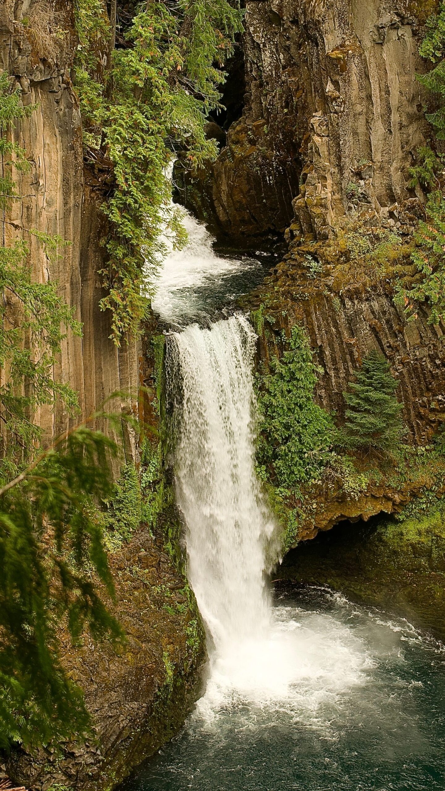 Toketee Falls dropping in two tiers between basalt columns, Oregon