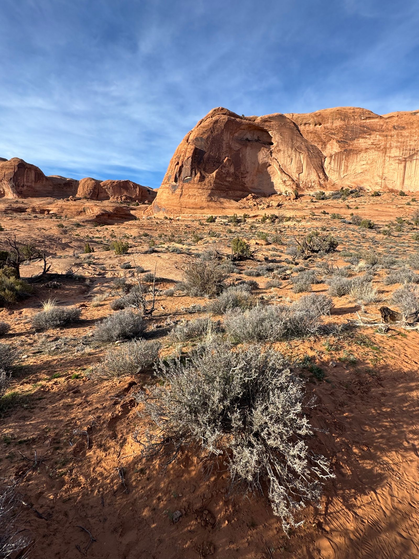 Red sandstone cliffs and desert scrub near Moab, Utah