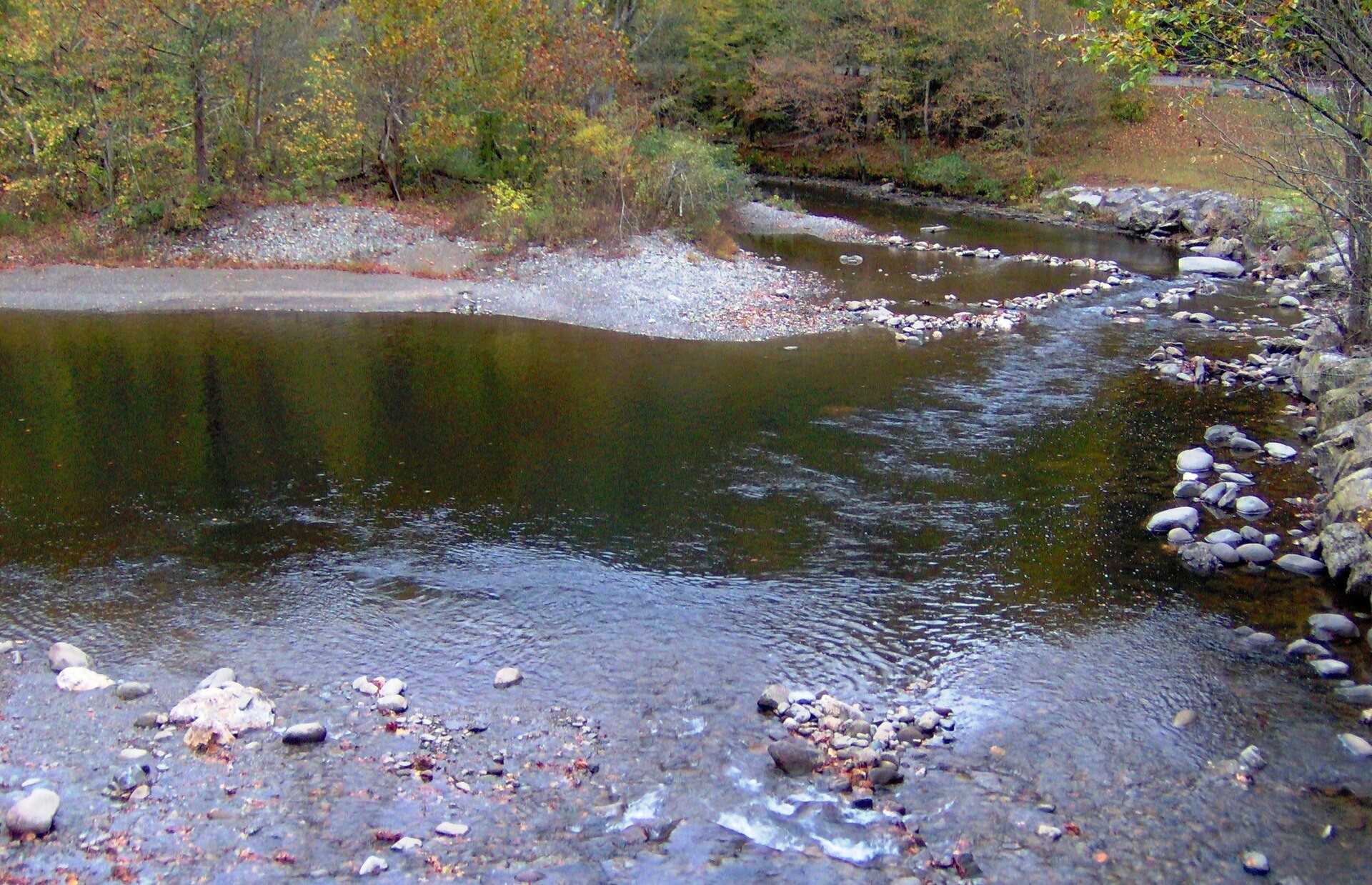 The Townsend Wye, where two forks of the Little River meet near the park boundary