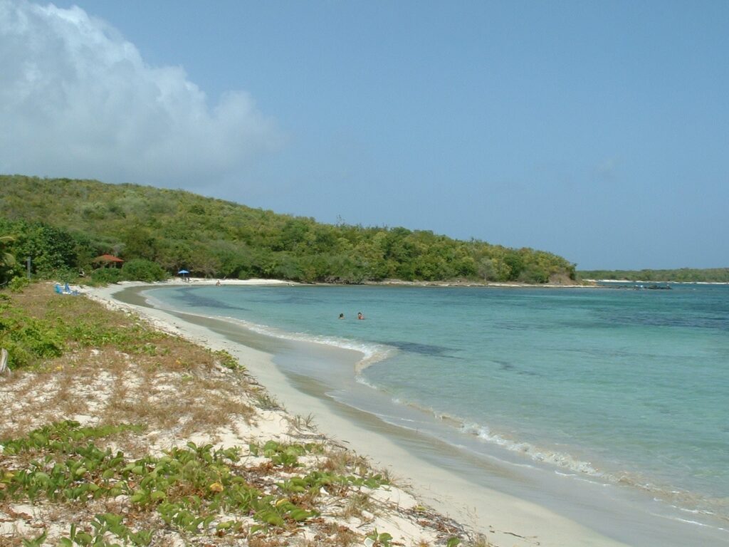 Vieques Bioluminescent Bay
