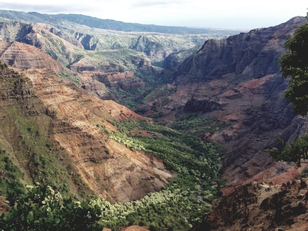 Waimea Canyon's red ridges and green valley floor on Kauai