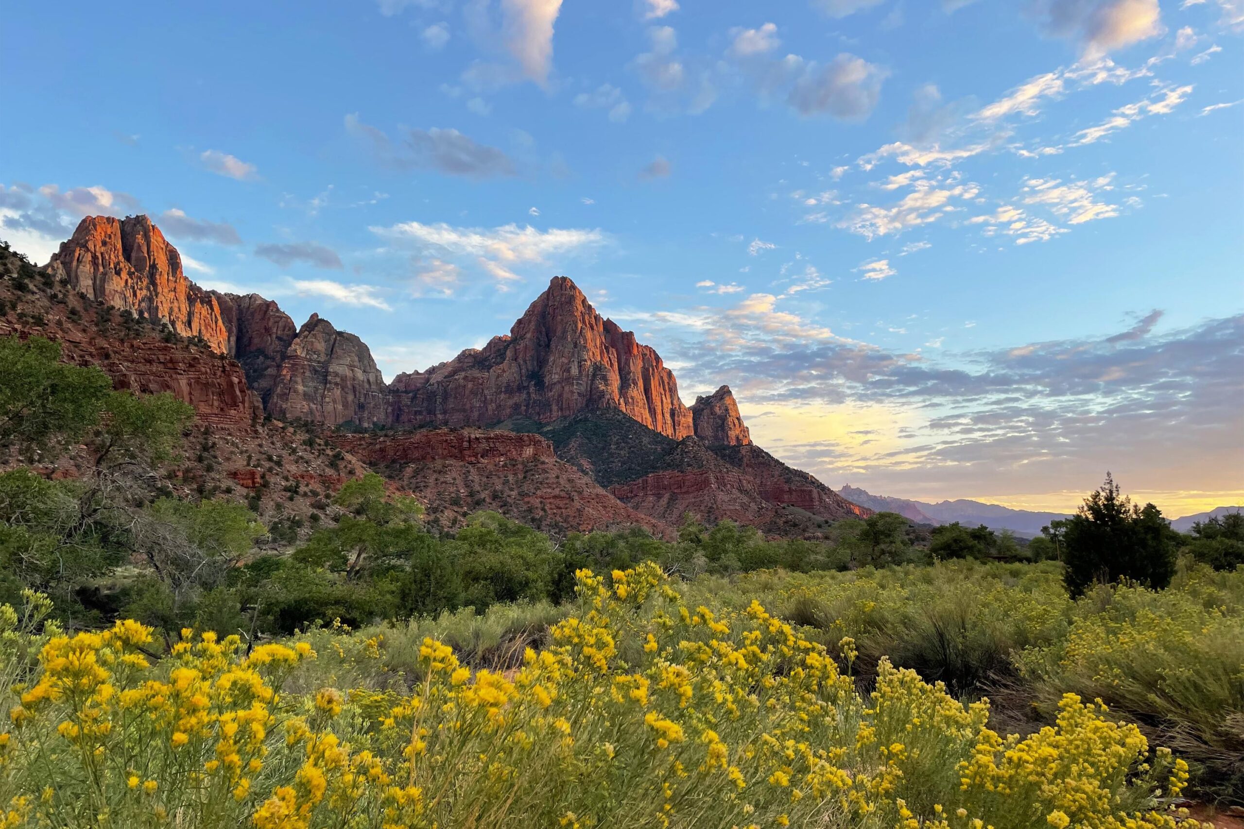The Watchman peak above the Virgin River in Zion National Park