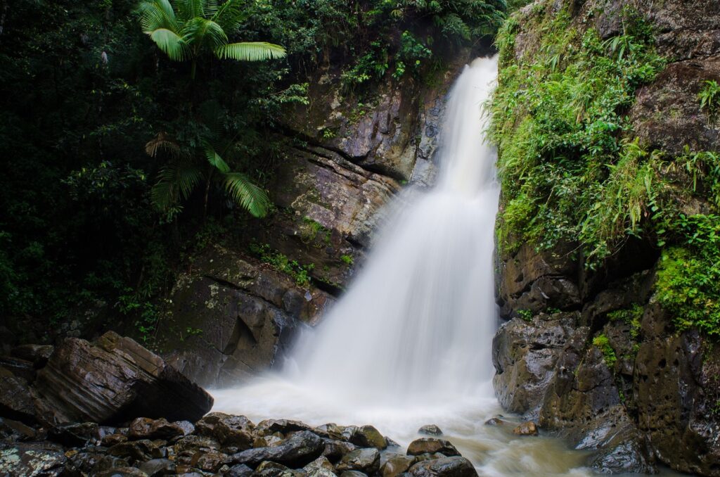 A waterfall pouring over mossy rocks in El Yunque National Forest