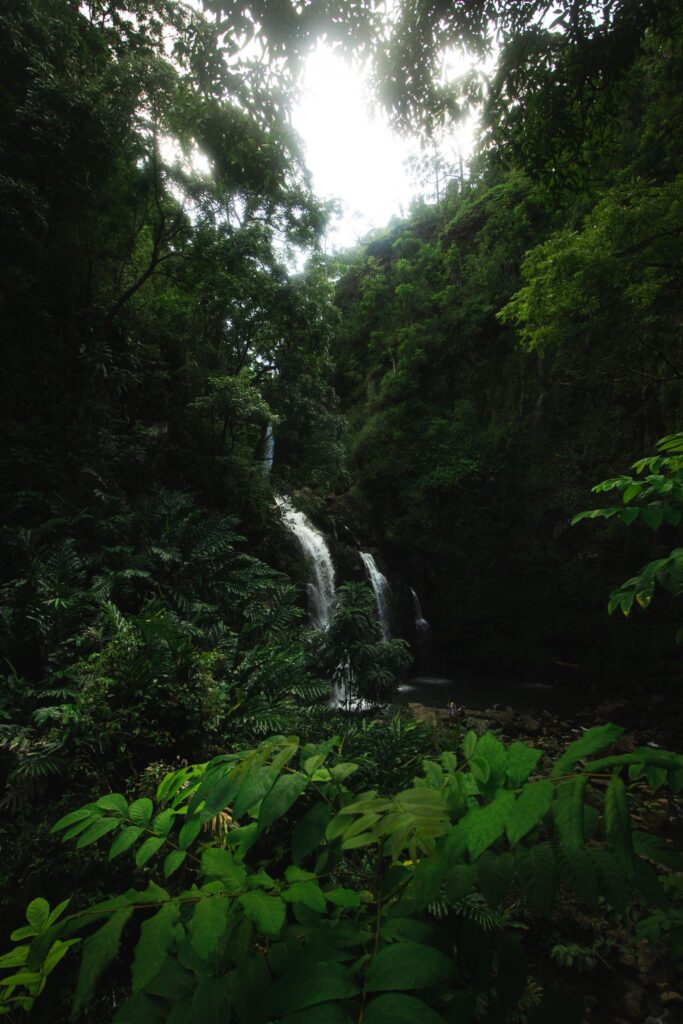 Road to Hana Stops in Order
