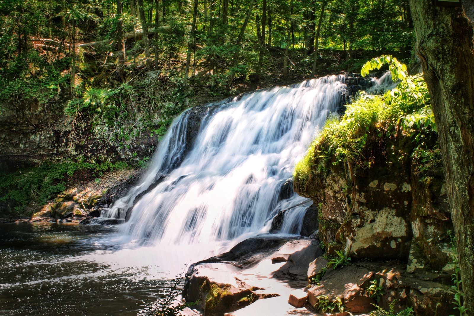 A waterfall dropping over layered rock through a green summer forest