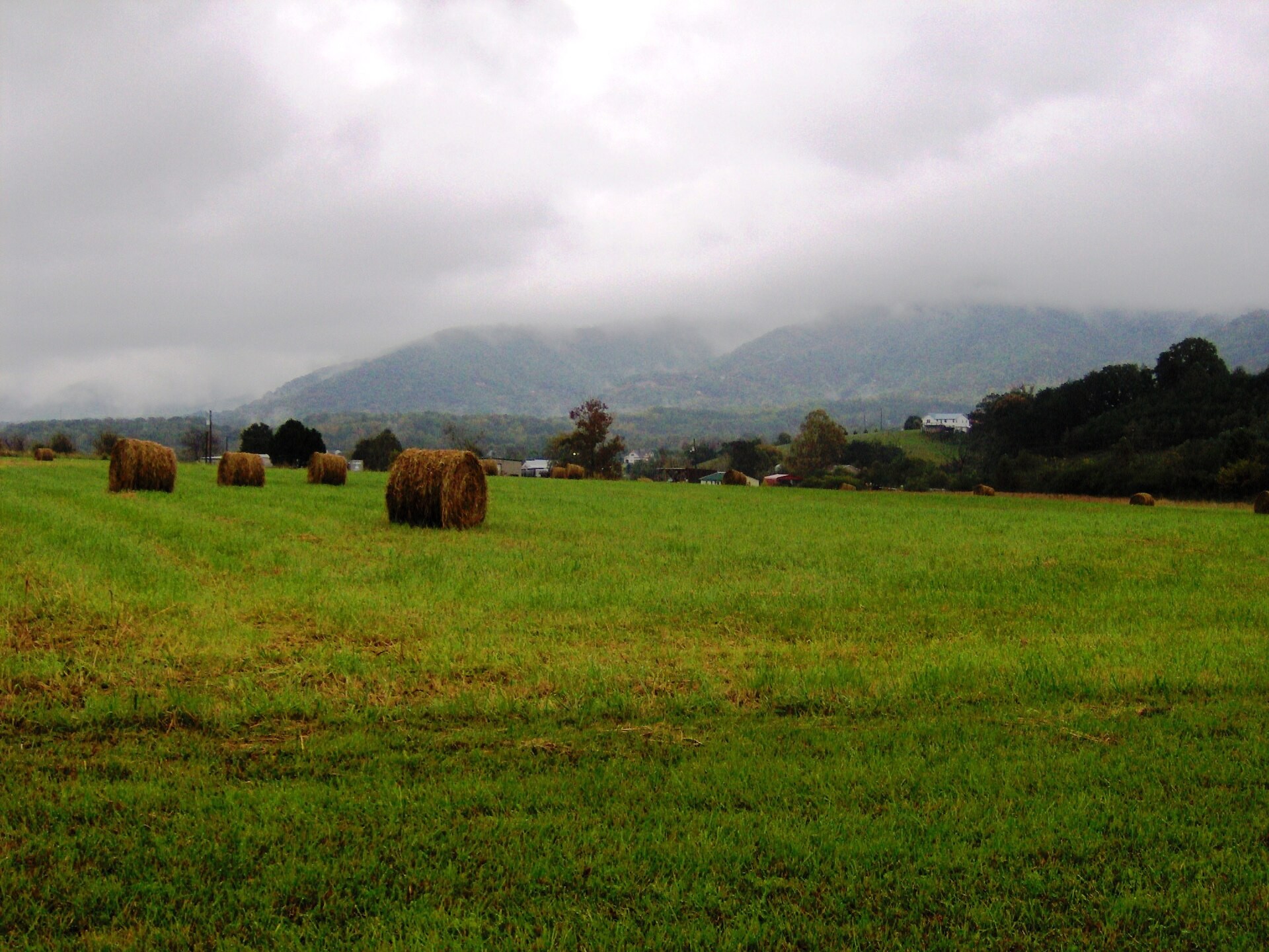 Cove Mountain rising above Wears Valley near the Foothills Parkway