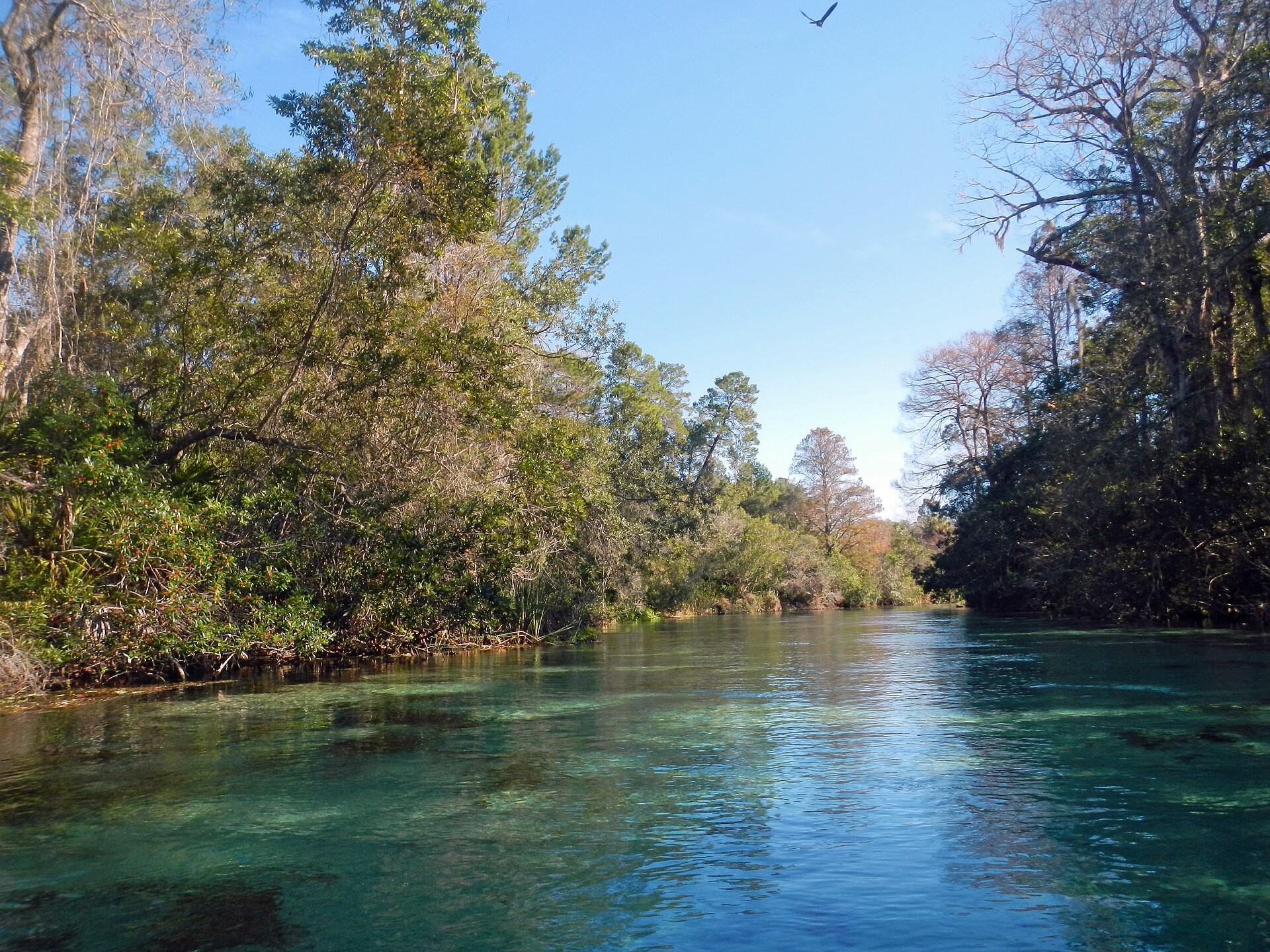 The Weeki Wachee River flowing downstream from Weeki Wachee Springs in Florida