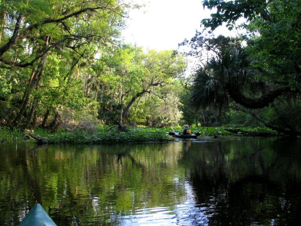 A canoe on the Wekiwa Run spring water near Wekiwa Springs State Park, Florida.