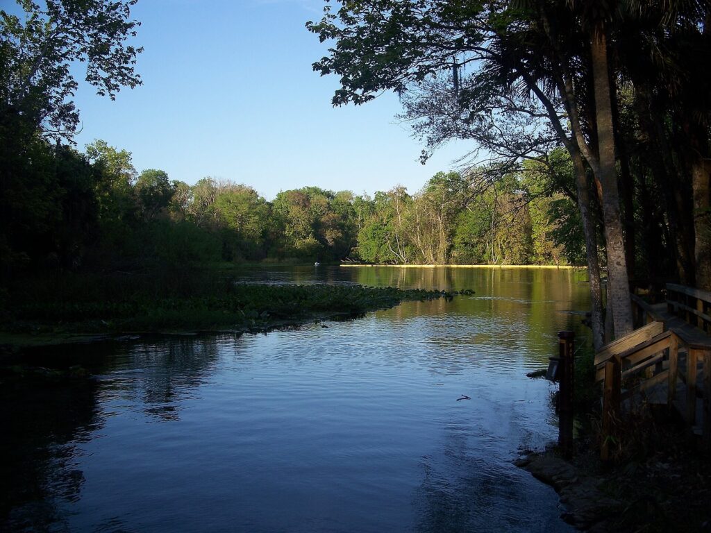 The spring run flowing out of Wekiwa Springs toward the Wekiva River
