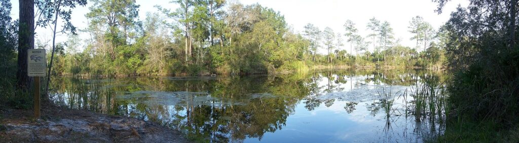 Sand Lake in the pine woods of Wekiwa Springs State Park