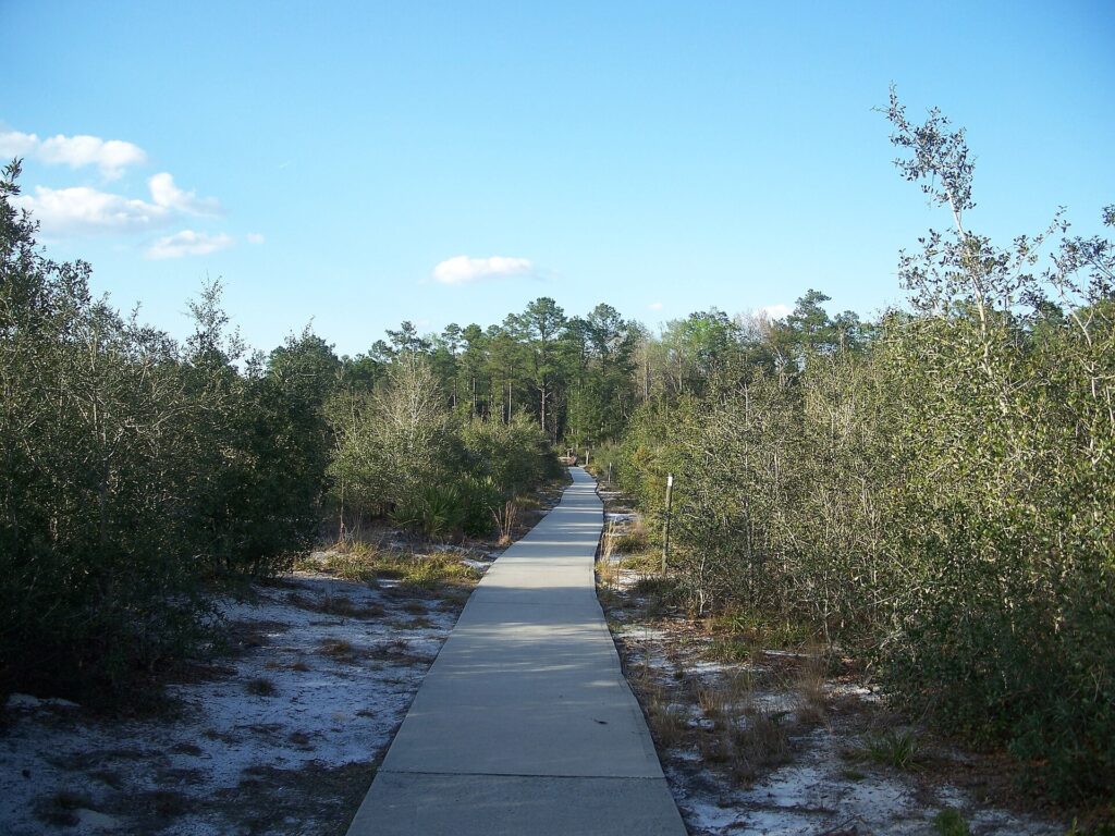 A sandy hiking trail leading toward Sand Lake at Wekiwa Springs State Park