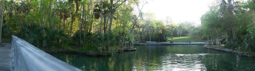 The spring swimming area at Wekiwa Springs State Park, Florida, seen from the footbridge