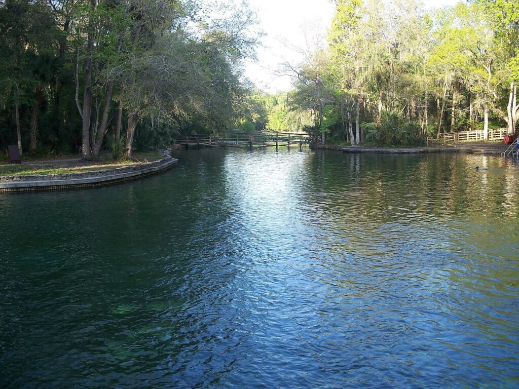 What to Bring to Florida Springs