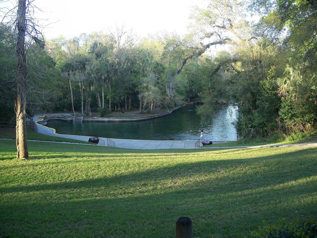 Swimmers at the spring swimming area at Wekiwa Springs State Park, with a sandy launch area and clear water