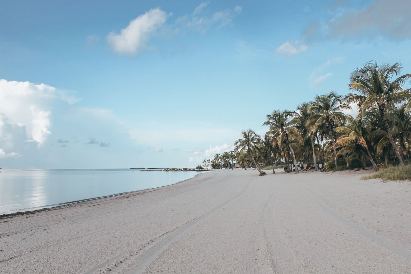 White sand beach lined with palm trees under a clear blue sky, the kind of beach scenery people look for among things to do in Key West
