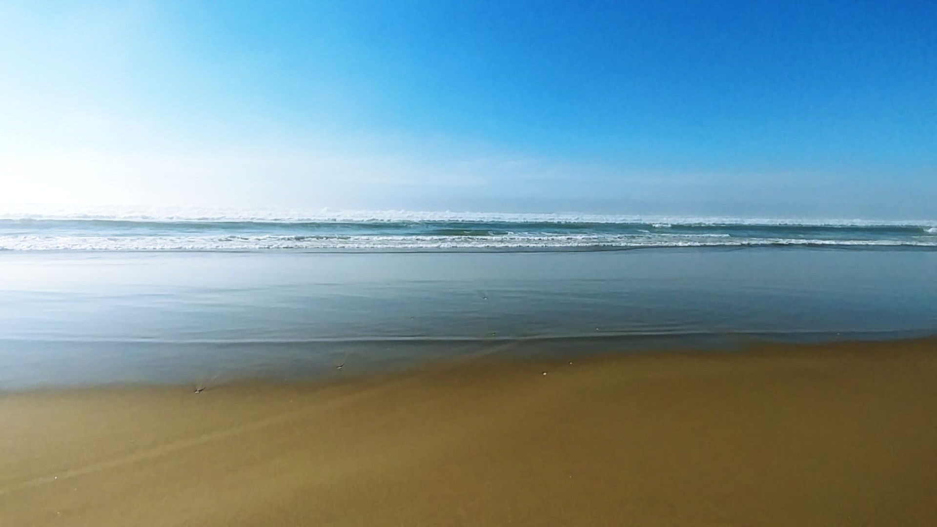 Wide empty beach at the Oregon Dunes