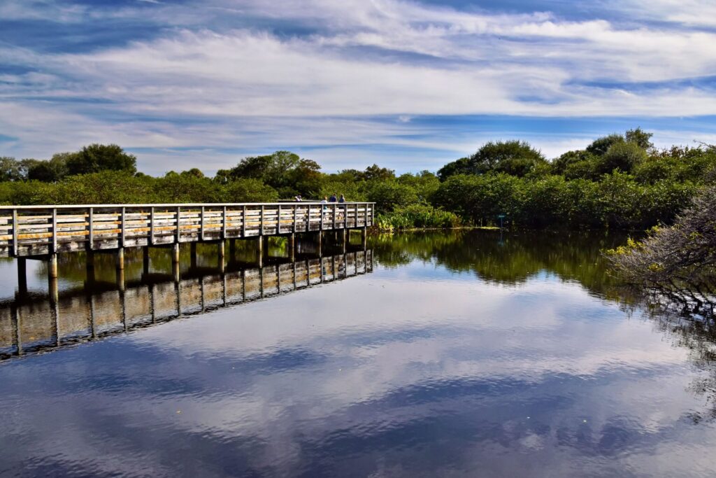 Wooden boardwalk reflecting on calm water at a South Florida park