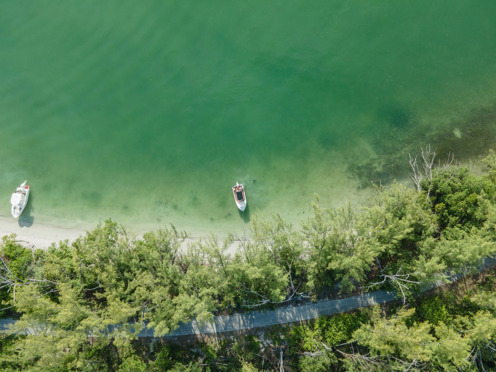 A person standing on a wooden dock above shallow, clear water.
