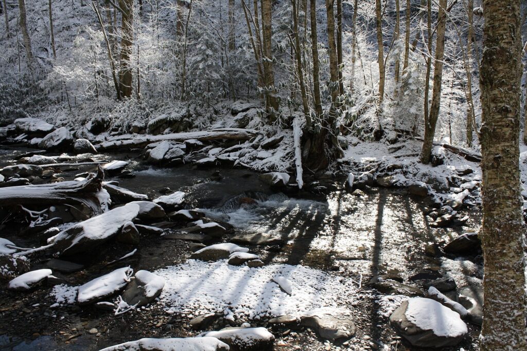 Snow lining the banks and rocks of Alum Cave Creek on a sunny winter morning in Great Smoky Mountains National Park