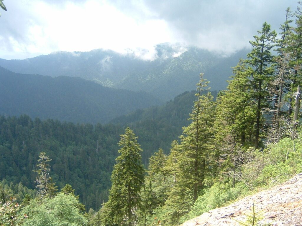 Overlook along the Alum Cave Trail above forested slopes in Great Smoky Mountains National Park