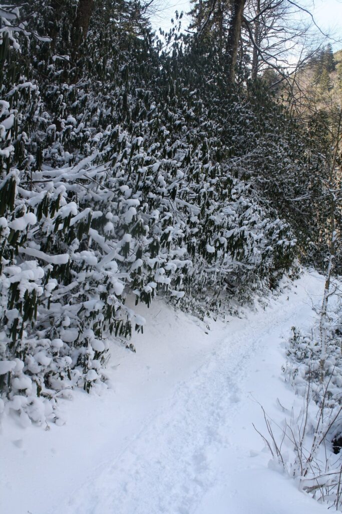 Snow-covered Alum Cave Trail in Great Smoky Mountains National Park