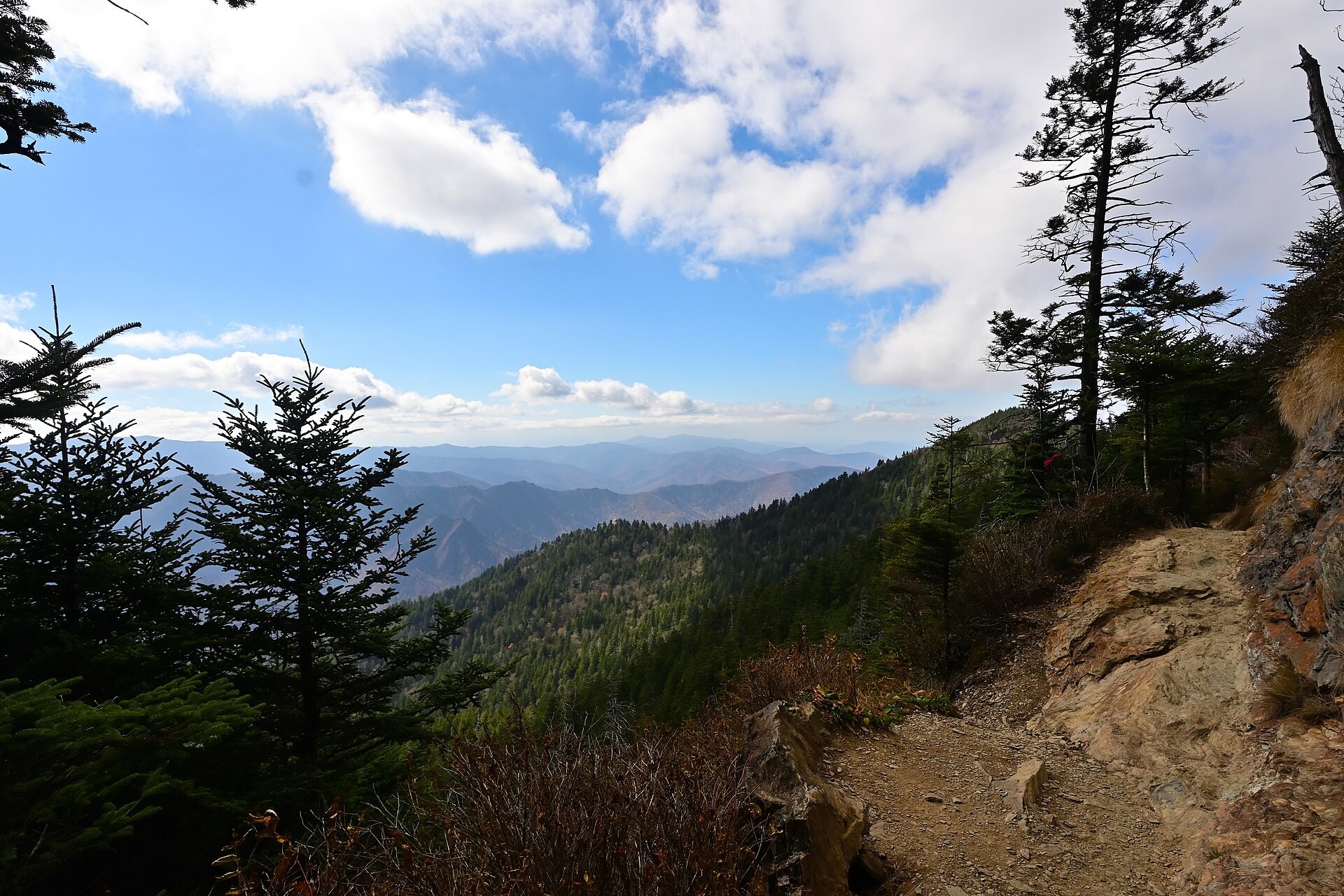 View of Smoky Mountain ridges from the upper Alum Cave Trail in Great Smoky Mountains National Park
