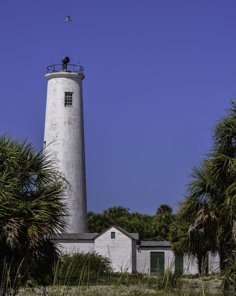 White lighthouse tower rising above palms on Egmont Key, Florida