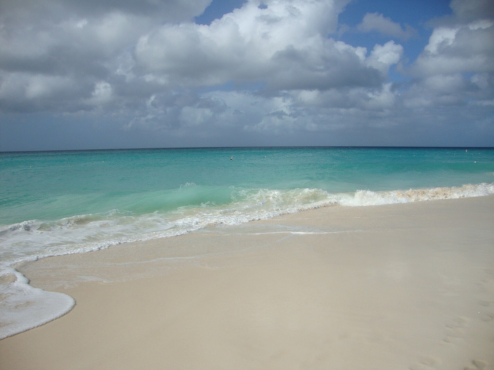 Eagle Beach on Aruba with white sand and the Caribbean Sea