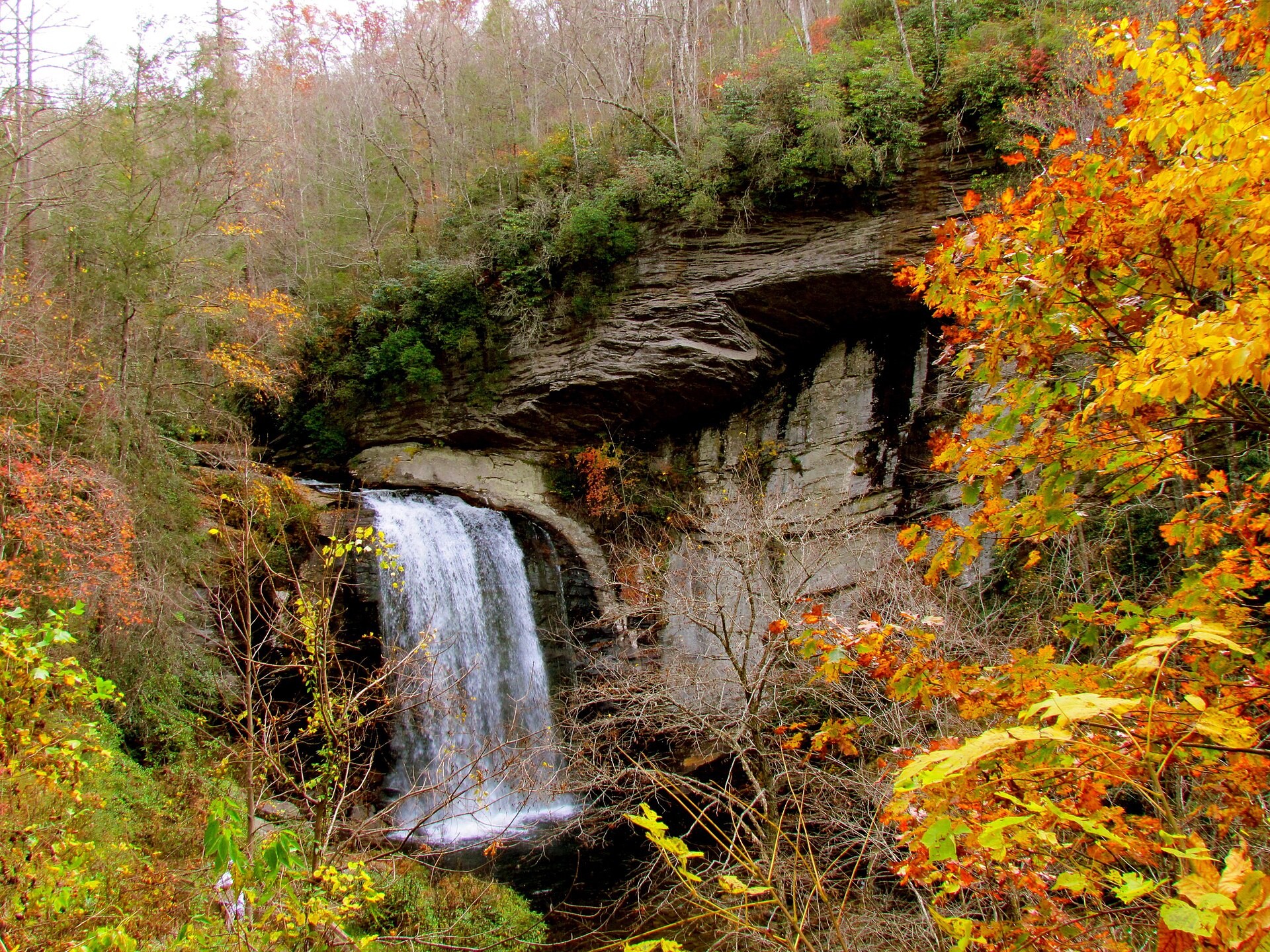 Looking Glass Falls in Pisgah National Forest, North Carolina