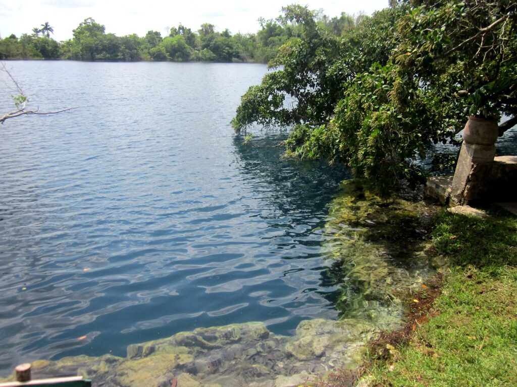 Calm dark blue water at Cenote Azul near Bacalar, ringed by trees and a limestone shore