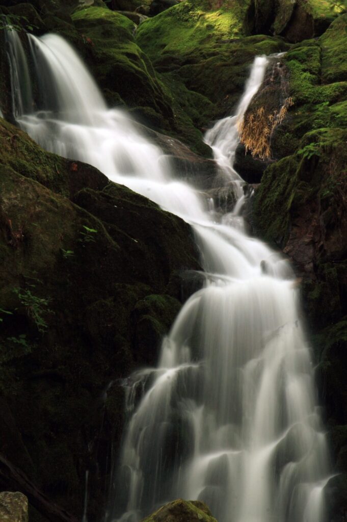 Mouse Creek Falls cascading down a rock face beside the Big Creek Trail in Great Smoky Mountains National Park